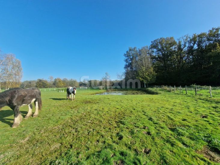 Vente Maison Rahon 5 Pièces 95 m²