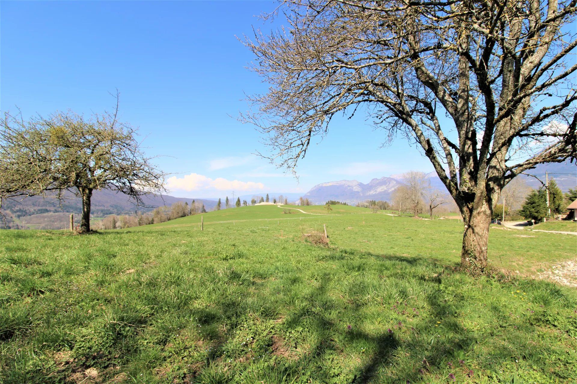 Sale Buildable land Saint-Jorioz 1082&nbsp;m²