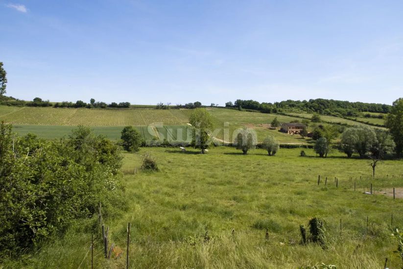 Vente Maison Cruzille 2 Pièces 66 m²