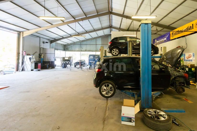 Vente Commerce Hasparren 1 pièce 600 m²