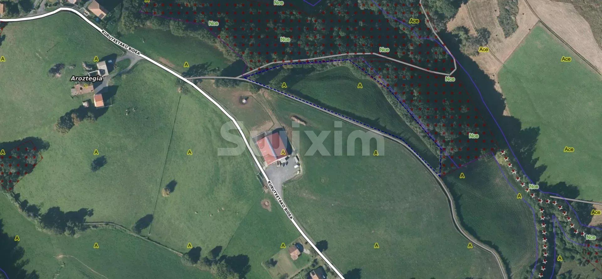 Vente Terrain non constructible Saint-Martin-d'Arberoue 10 Pièces 5.72 ha