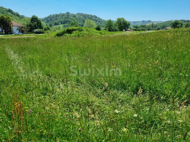 Vente Terrain à bâtir La Bastide-Clairence 1080 m²