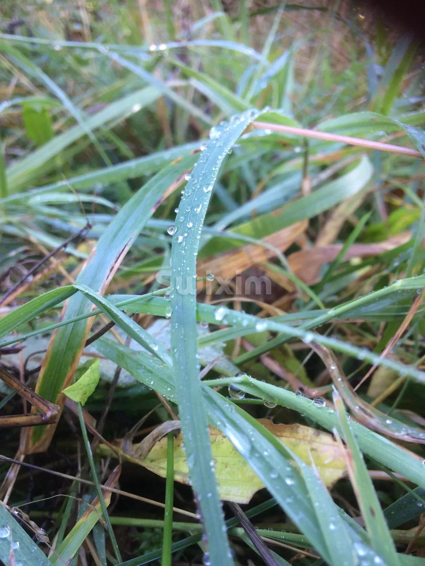 Verkauf Baugrundstück Labergement-Sainte-Marie 542 m²