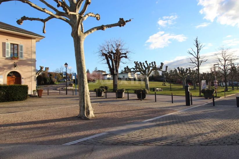 Vente Maison Plan-les-Ouates 11 Pièces 350 m²