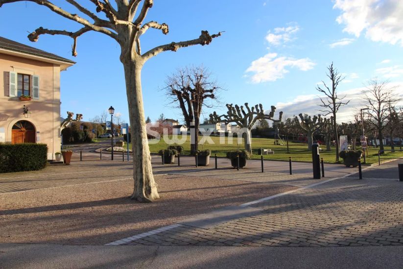 Verkauf Haus Plan-les-Ouates 11&nbsp;Zimmer 350&nbsp;m²