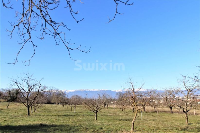 Vente Maison Plan-les-Ouates 9 Pièces 290 m²