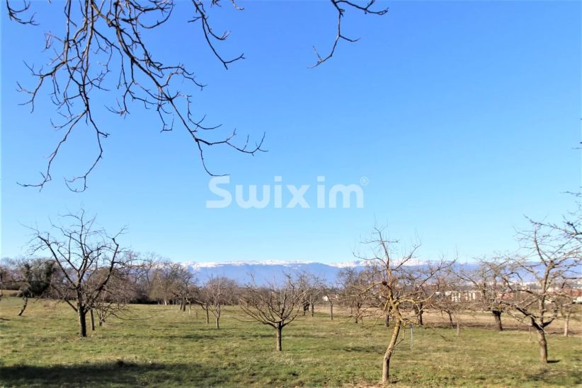 Vente Maison Plan-les-Ouates 9&nbsp;Pièces 290&nbsp;m²