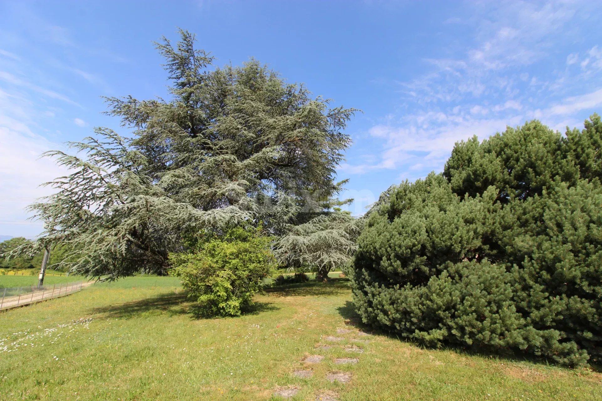 Vente Maison Genève 8 Pièces 137 m²