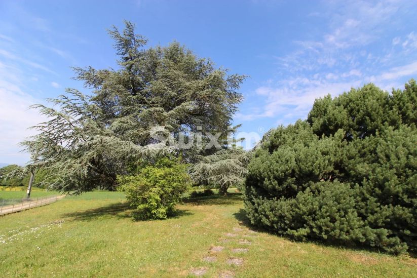 Vendita Casa Genève 8&nbsp;Camere 137&nbsp;m²