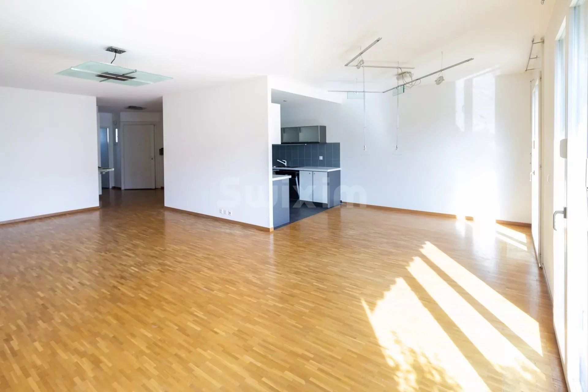 Location Appartement Jussy 5.5 Pièces 132 m²