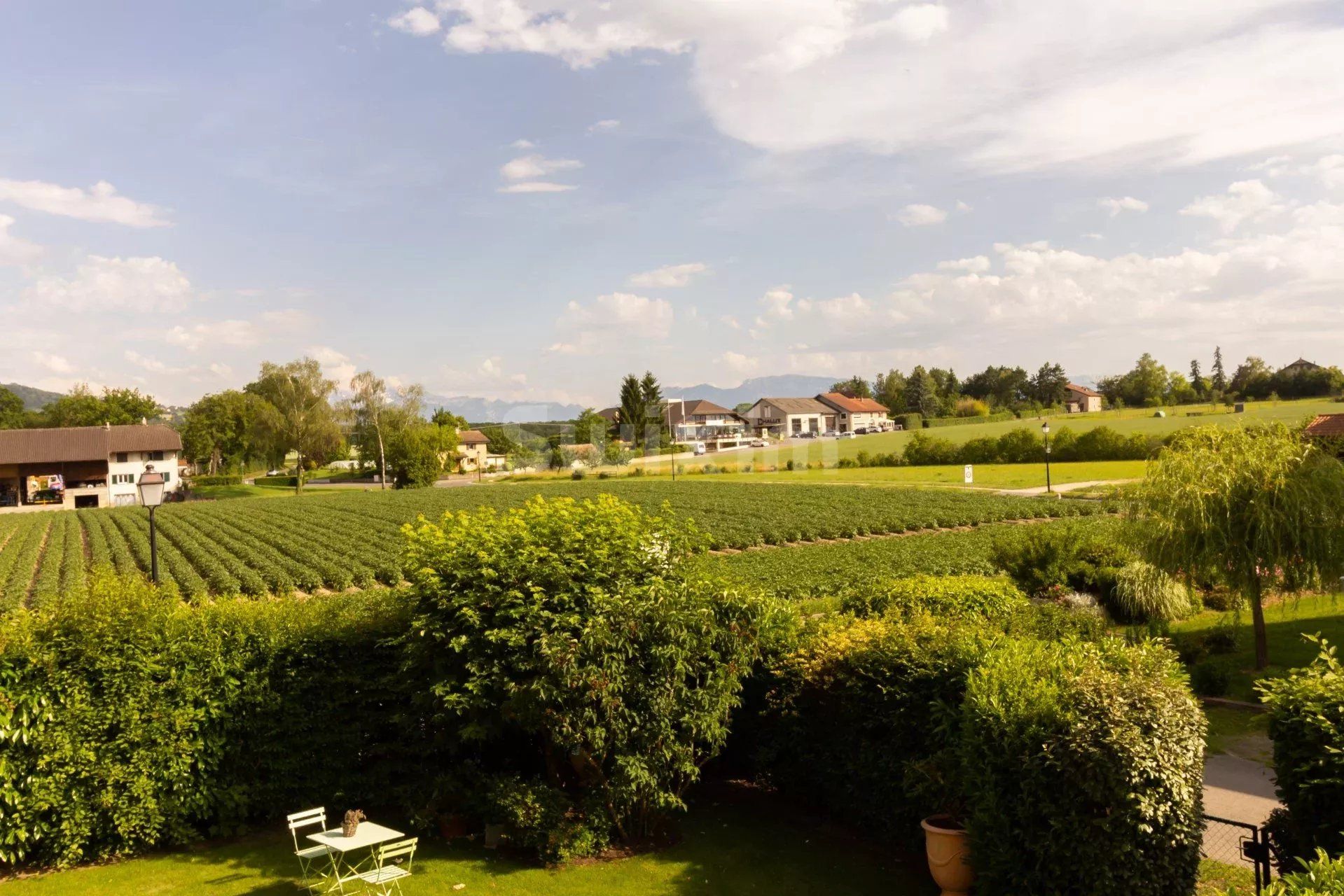 Location Appartement Jussy 5.5 Pièces 132 m²