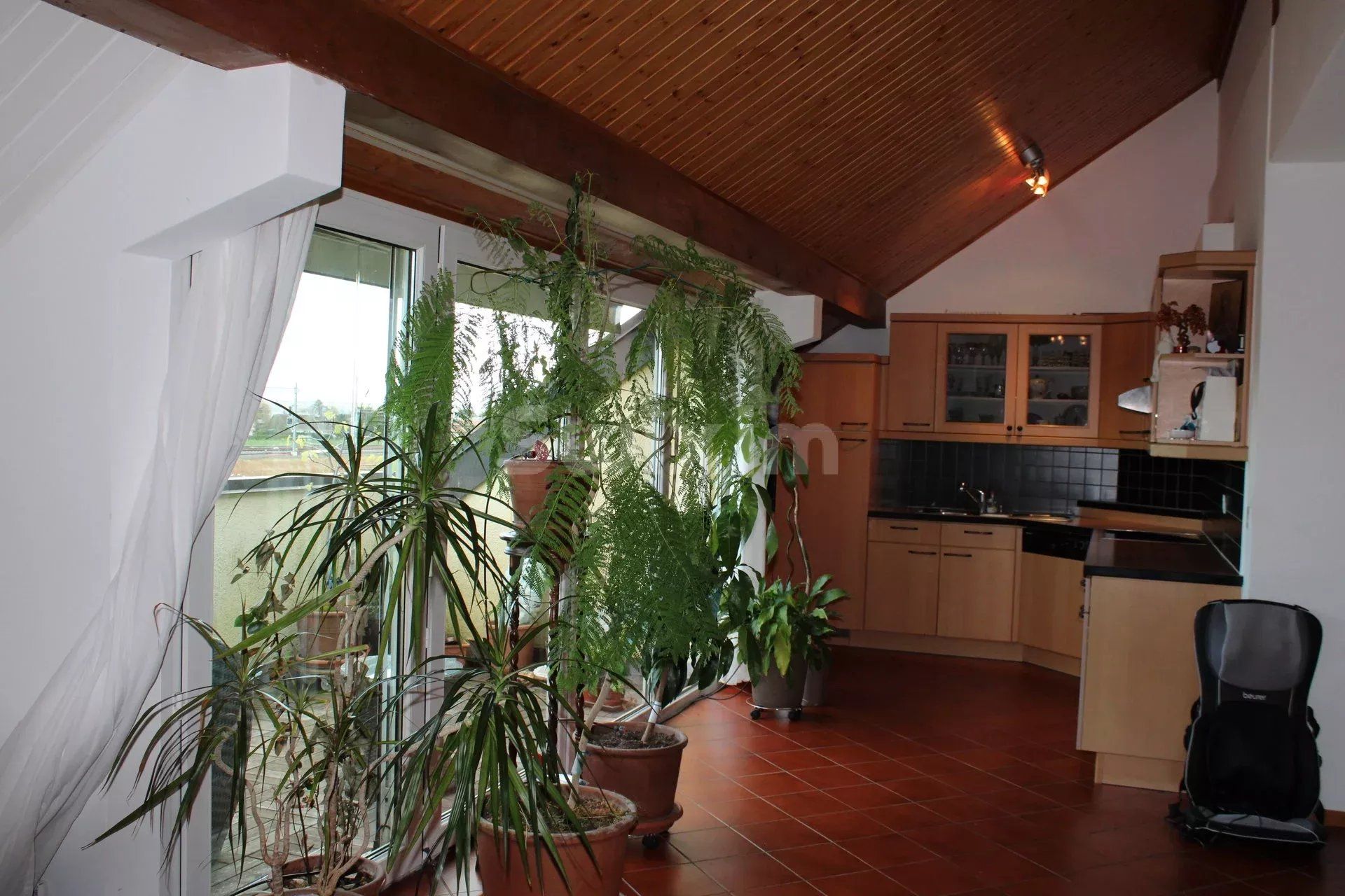 Location Appartement Coppet 4 Pièces