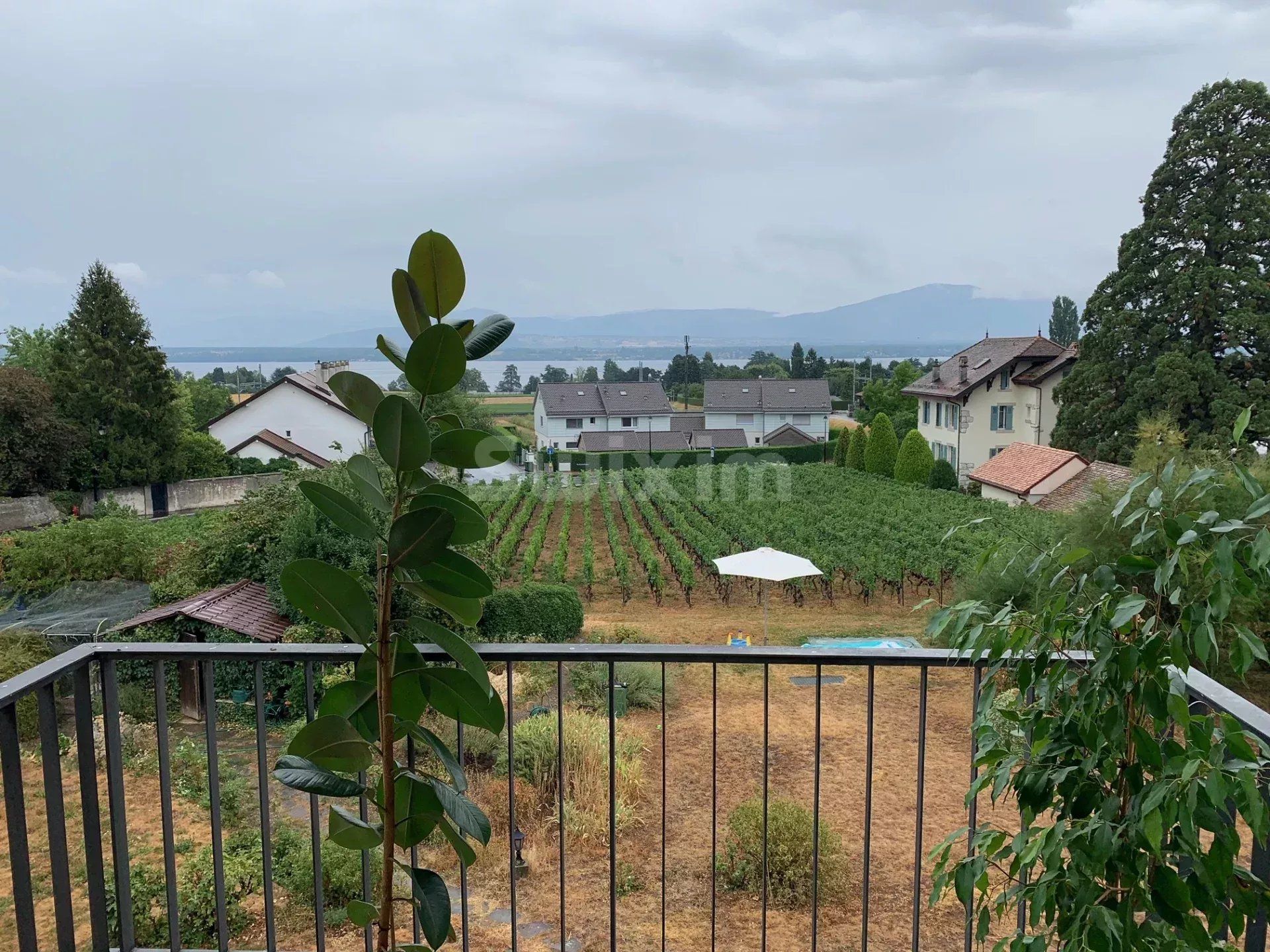 Location Appartement Founex 160 m²