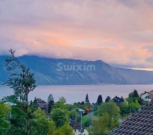 Vente Maison Vevey 3.5 Pièces 120 m²