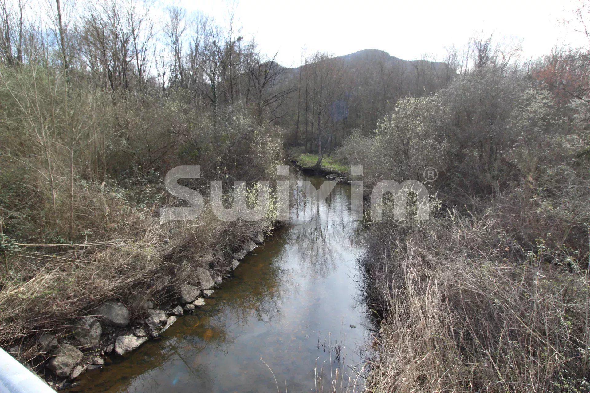 Vente Local d'activité Chindrieux 1&nbsp;pièce 350&nbsp;m²