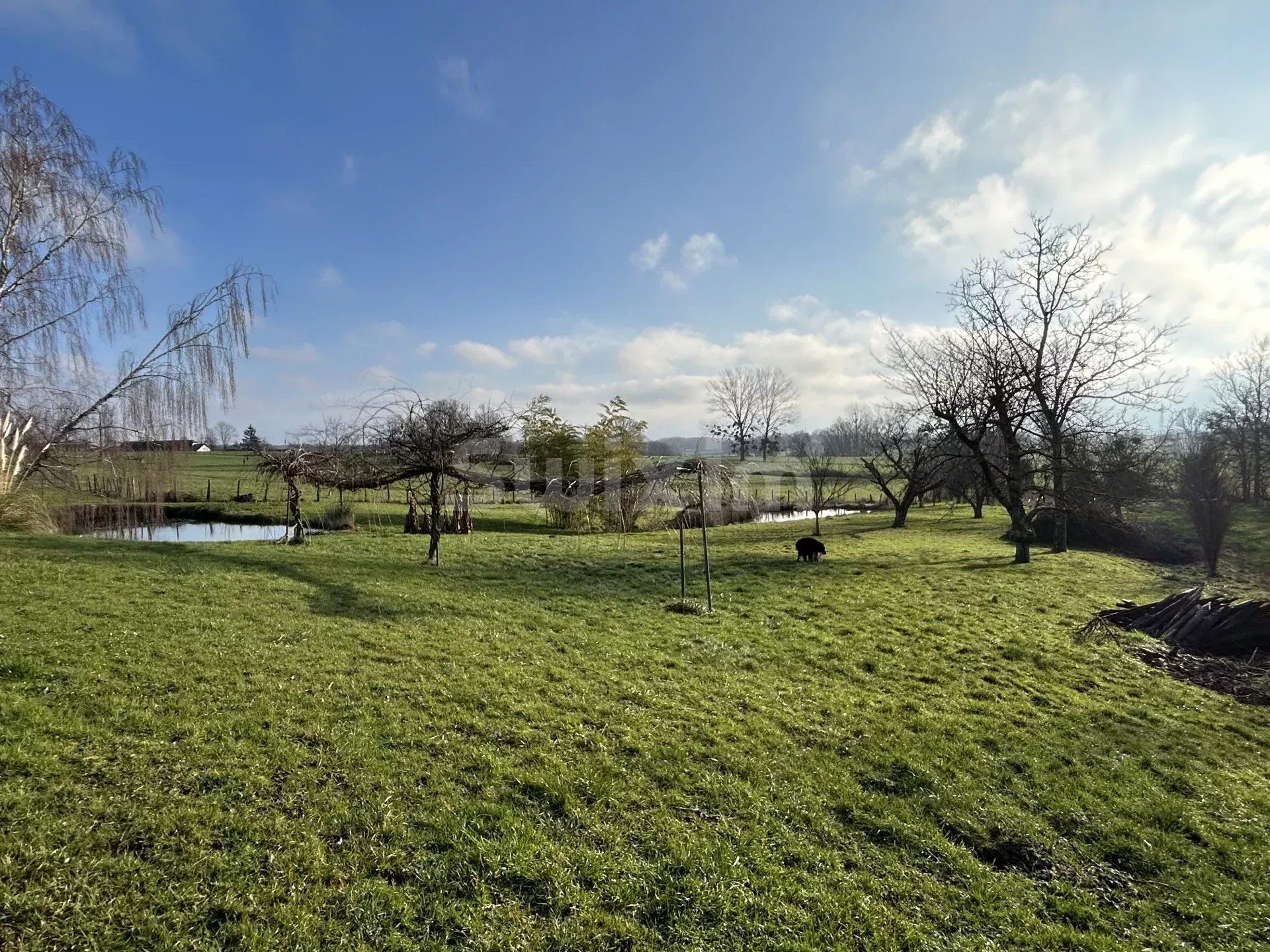 Vente Maison Savigny-en-Revermont 8 Pièces 175 m²