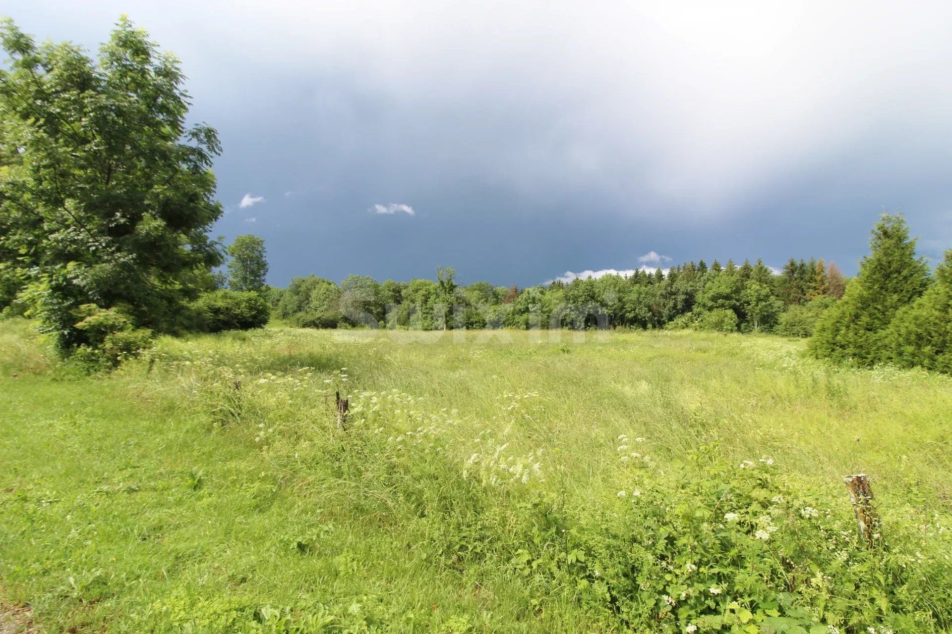 Vente Maison Clairvaux-les-Lacs 3 Pièces 142 m²