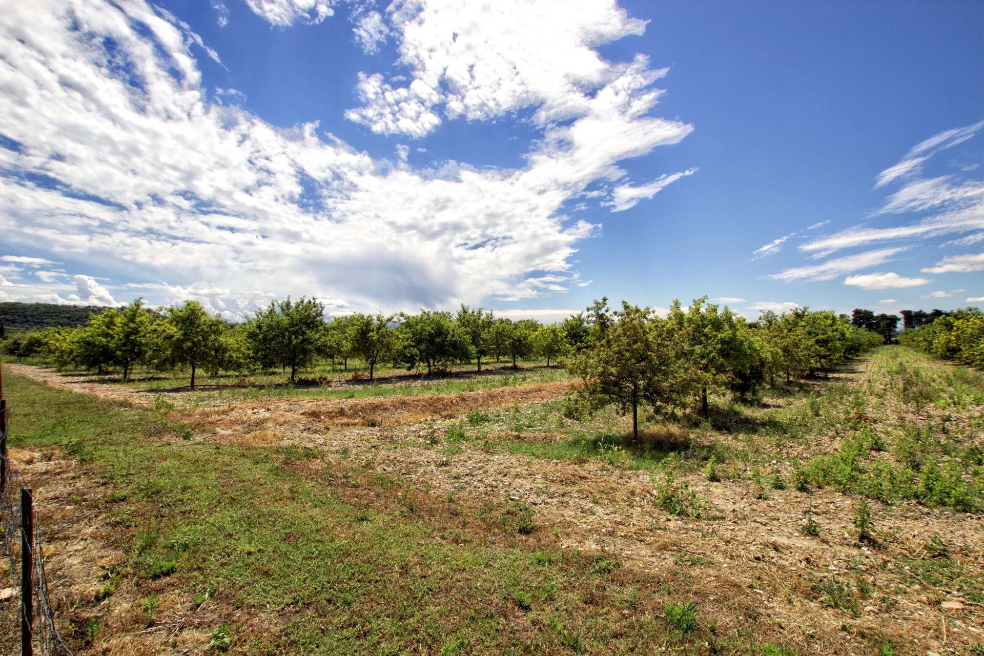 Sale Mas Grignan 17&nbsp;Rooms 330&nbsp;m²