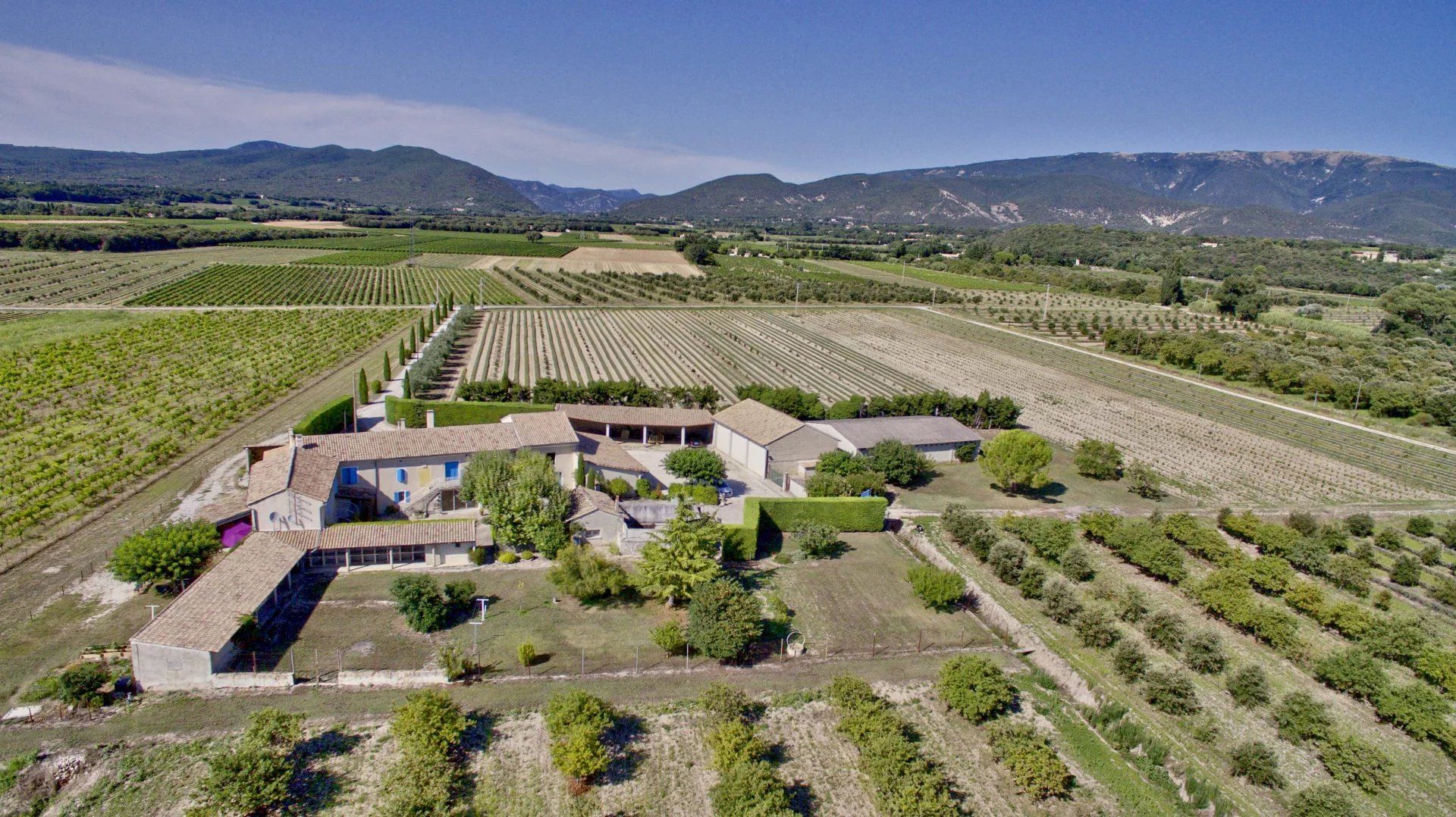 Sale Mas Grignan 17&nbsp;Rooms 330&nbsp;m²