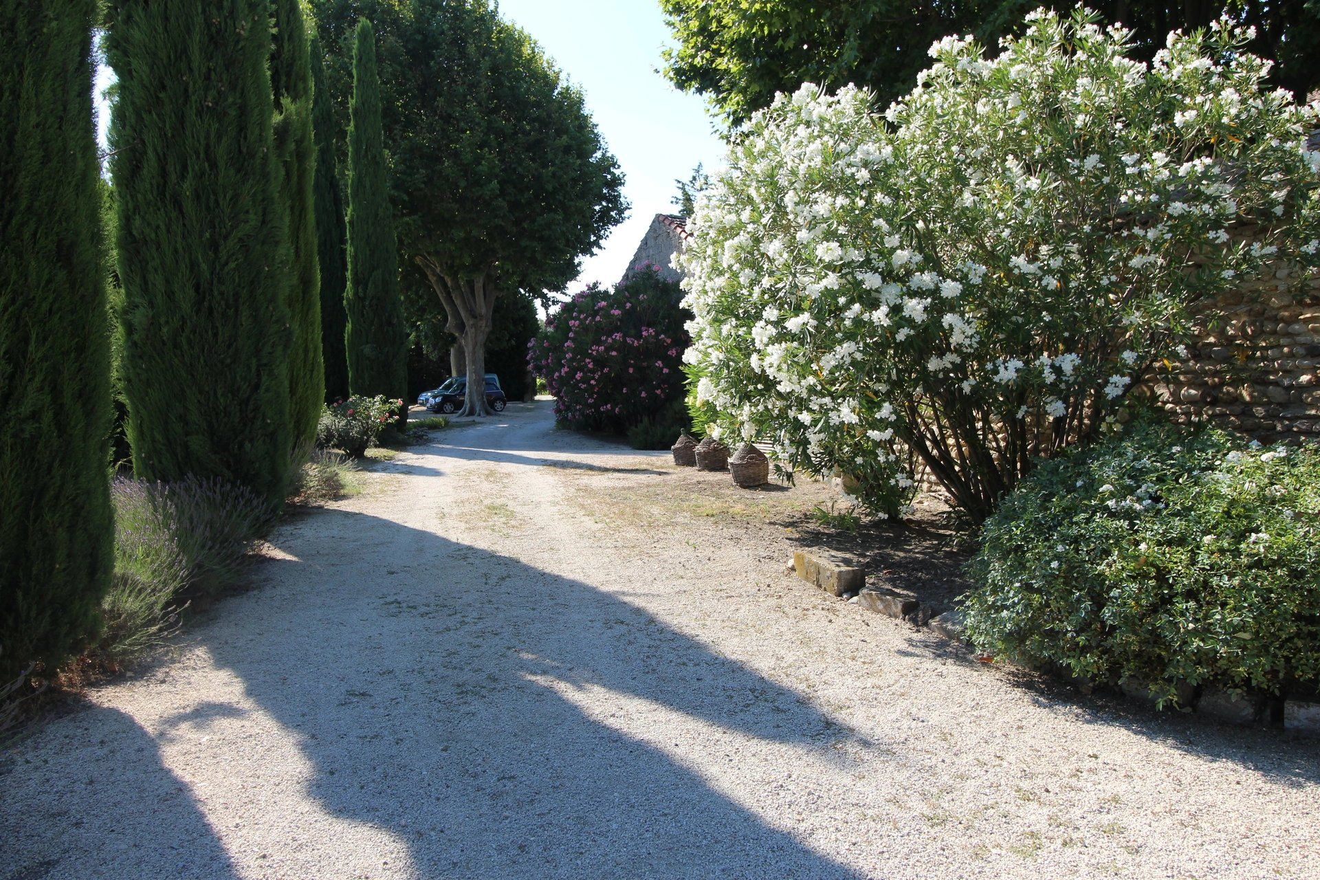 Vendita Proprietà Visan 17&nbsp;Camere 350&nbsp;m²