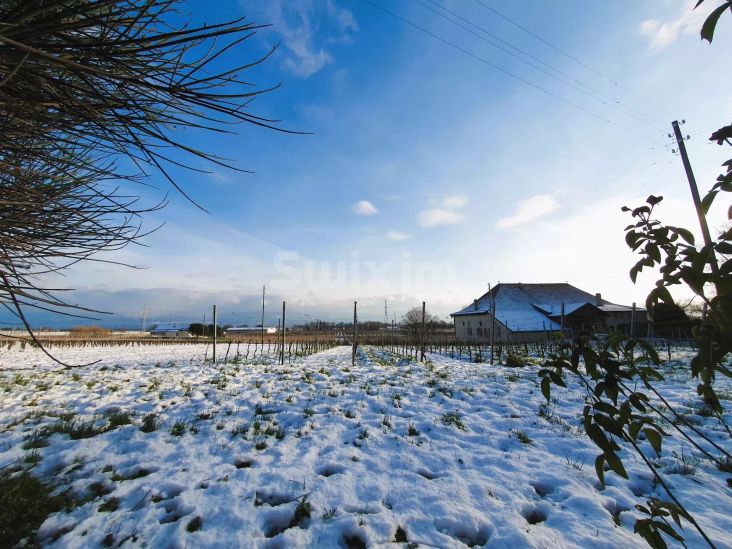 Location Maison Féchy 5.5 Pièces 145 m²