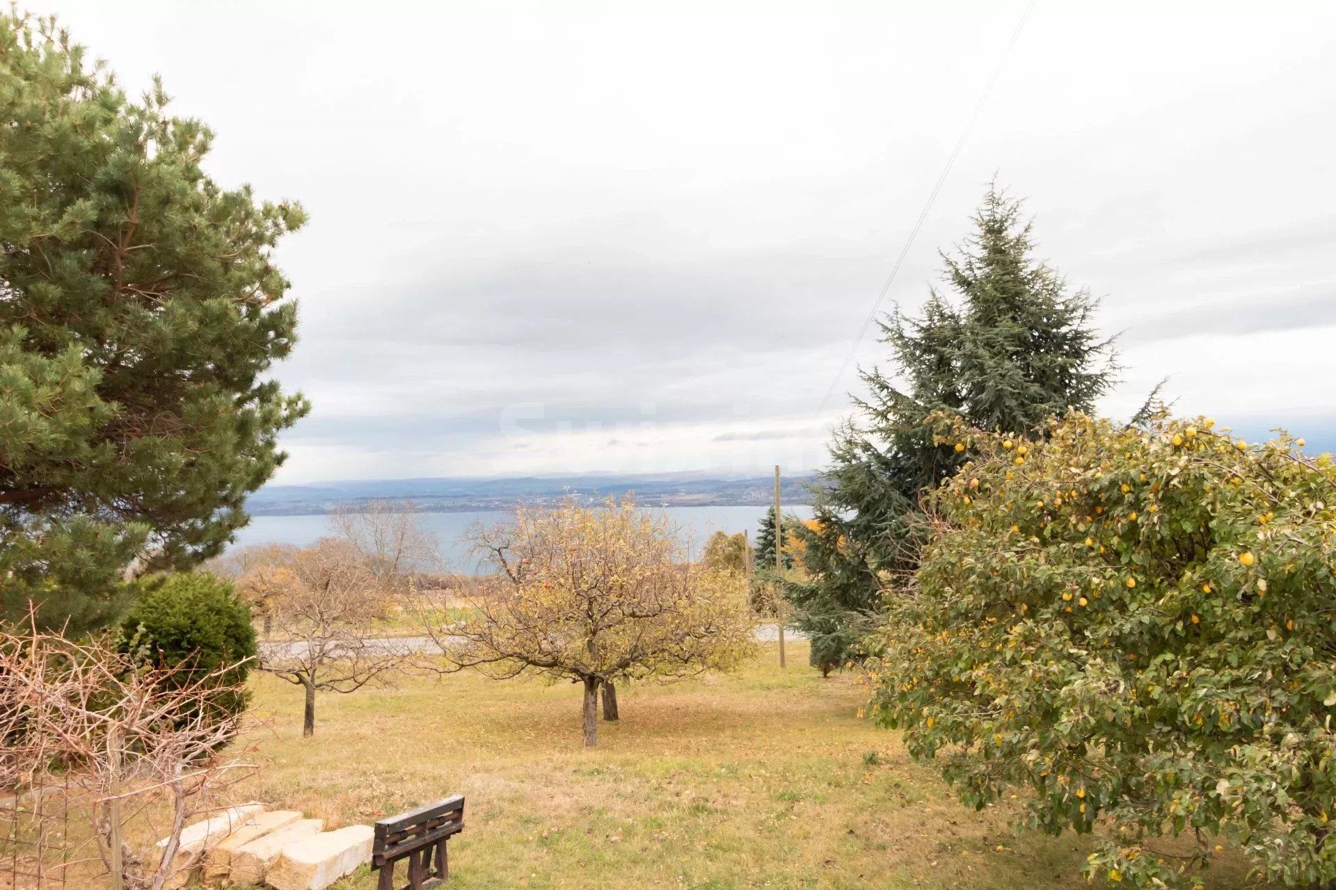 Vente Immeuble Provence 350 m²