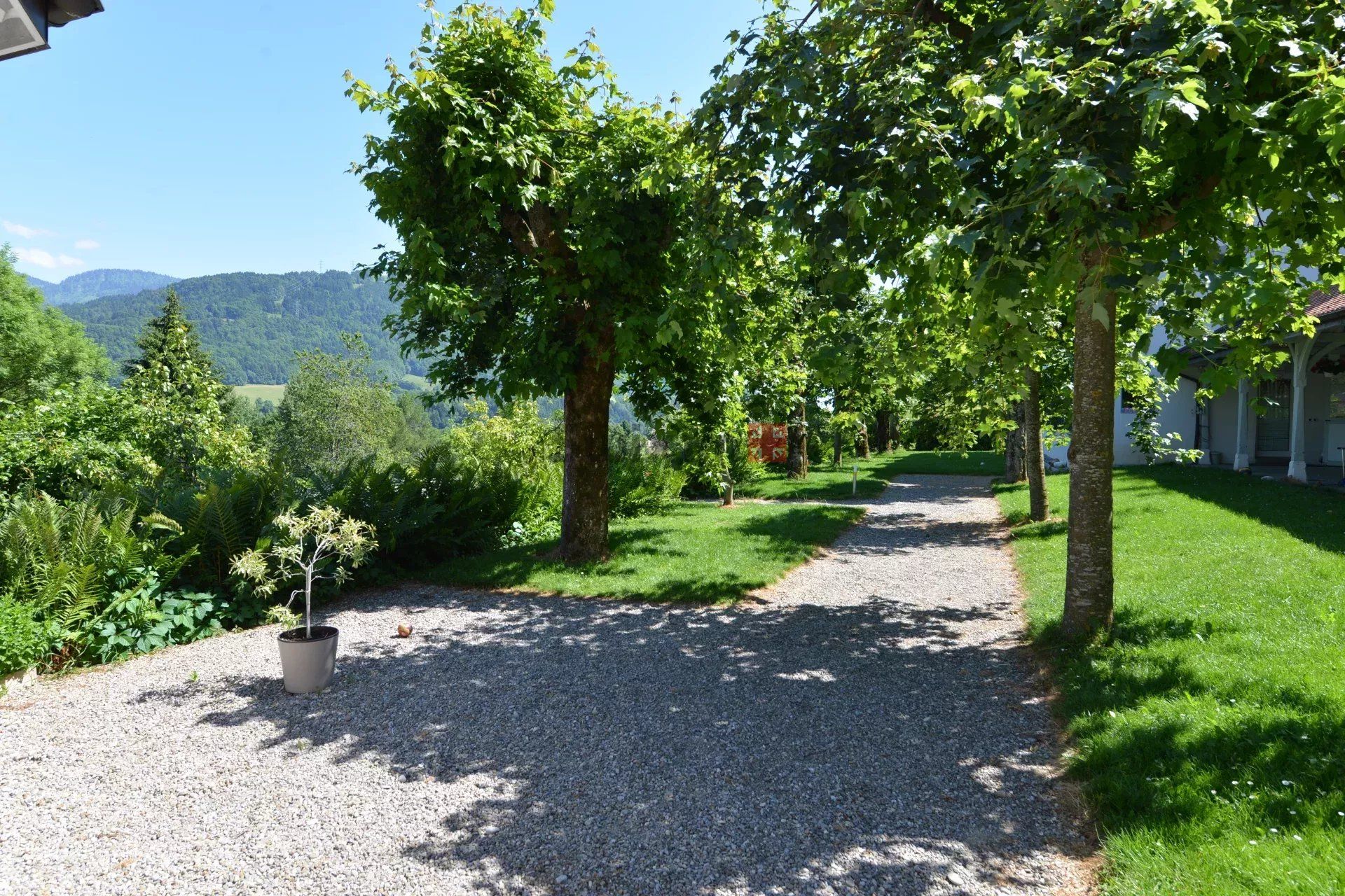 Rental Apartment Vevey 5.5 Rooms 165 m²