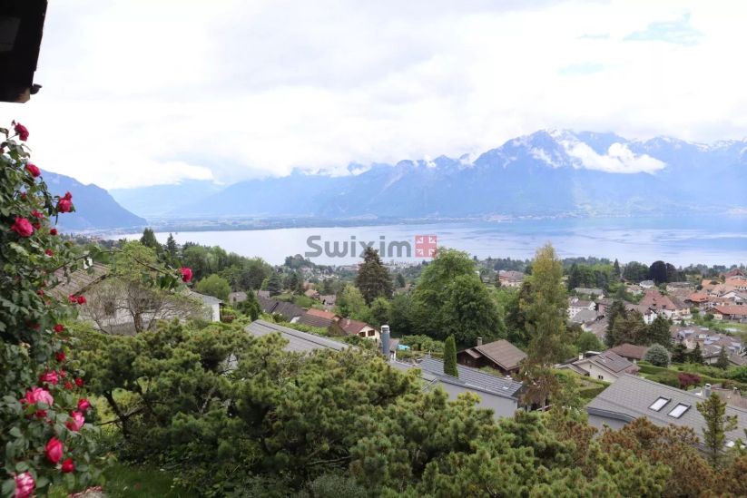 Location Chalet Vevey 6.5 Pièces 200 m²