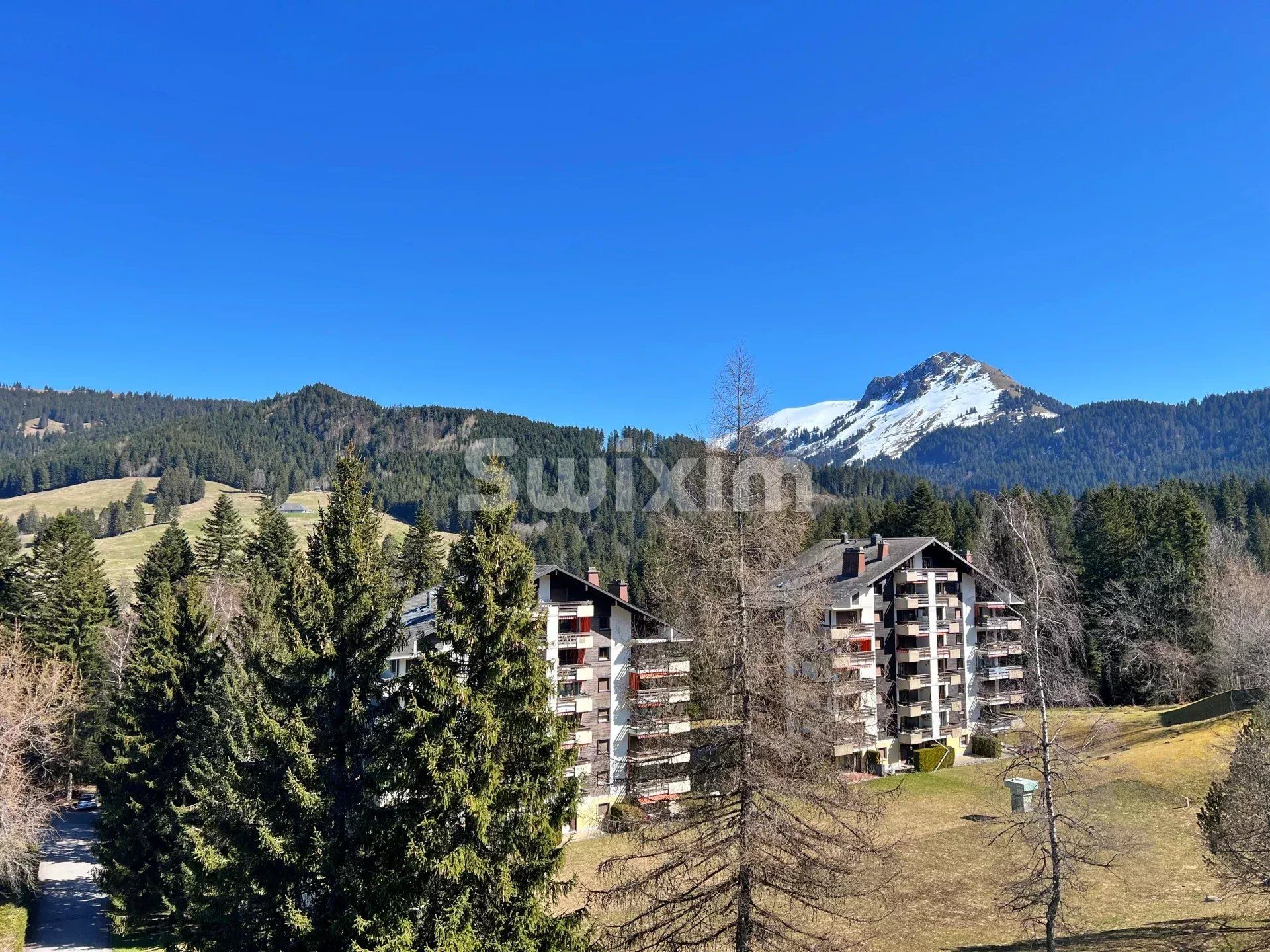 Rental Apartment Les Paccots 2.5 Rooms 35 m²