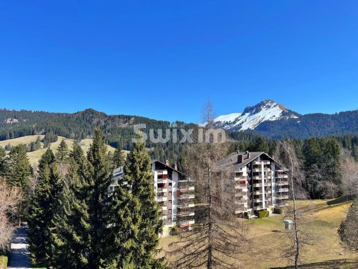 Location Appartement Les Paccots 2.5&nbsp;Pièces 35&nbsp;m²