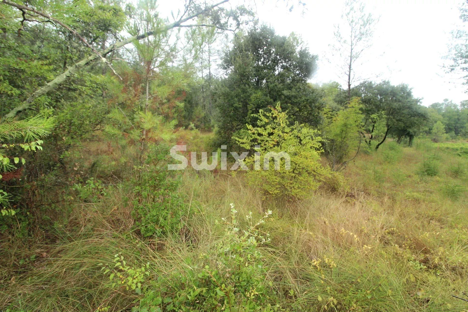 Vente Terrain non constructible Les Arcs 1.2&nbsp;ha