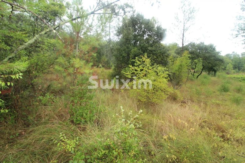 Sale Non buildable land Les Arcs 1.2&nbsp;ha