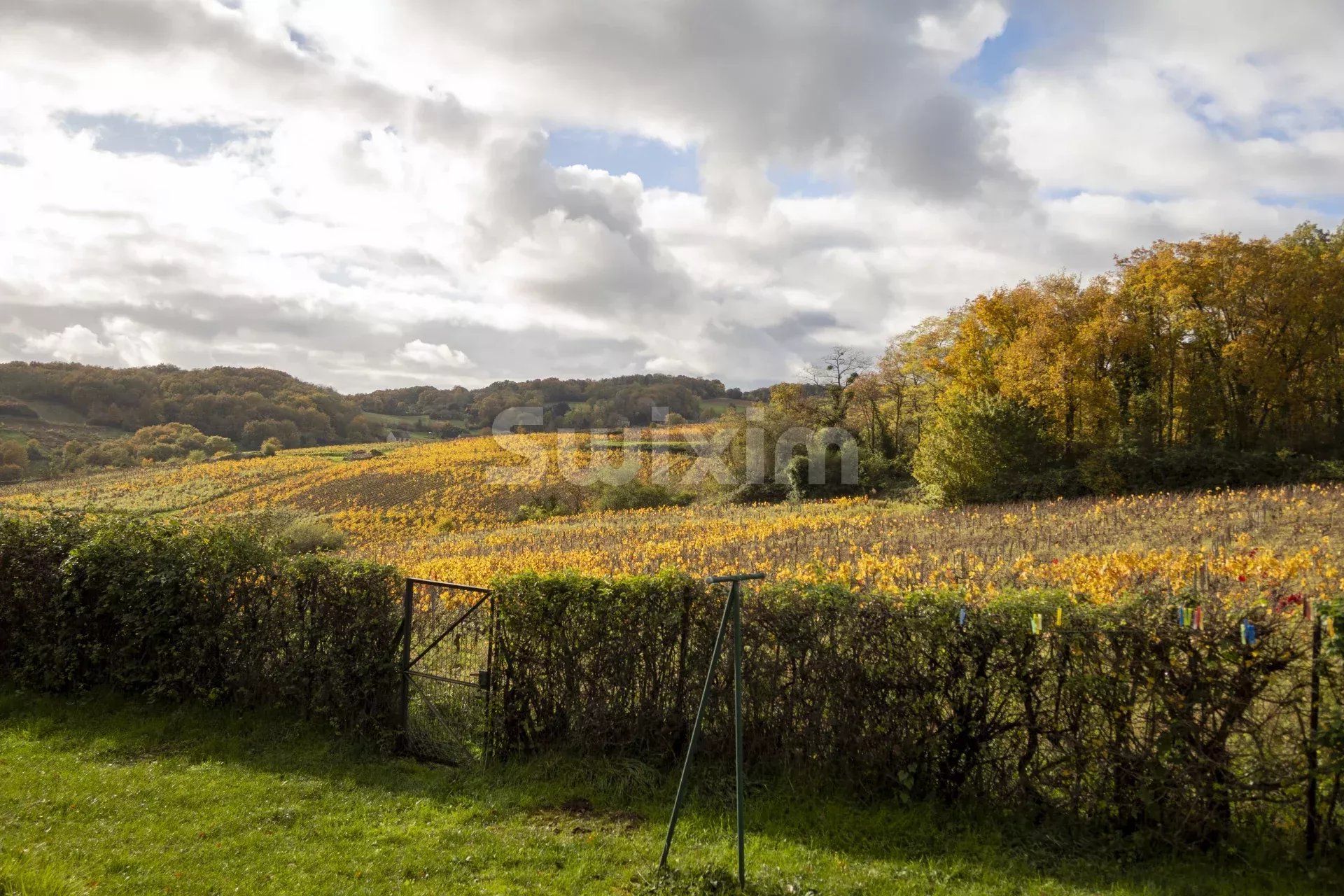 villa 8 Pièces en vente sur Beaune (21200)