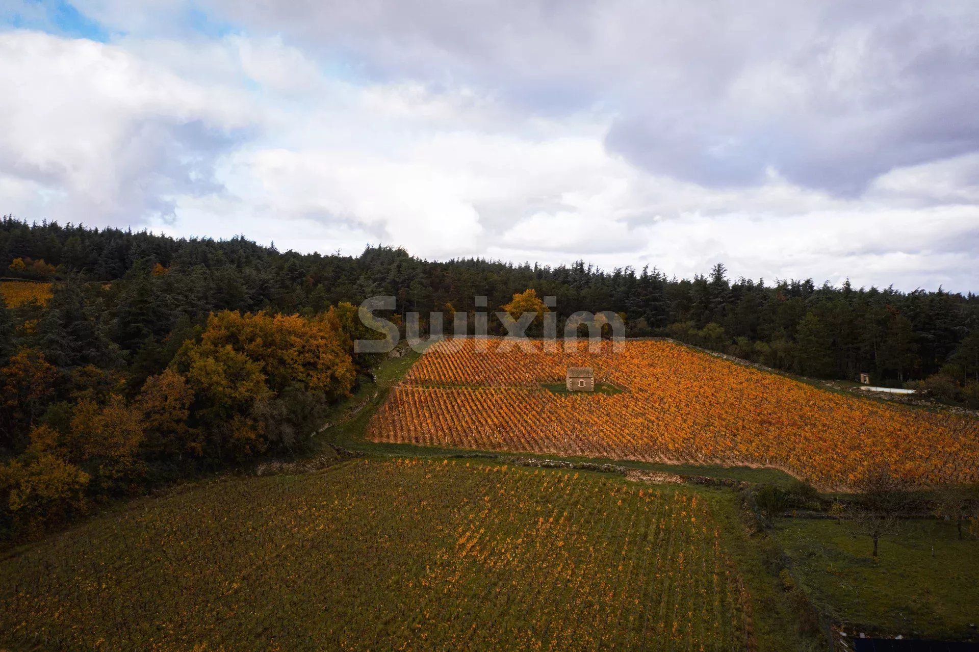 villa 8 Pièces en vente sur Beaune (21200)