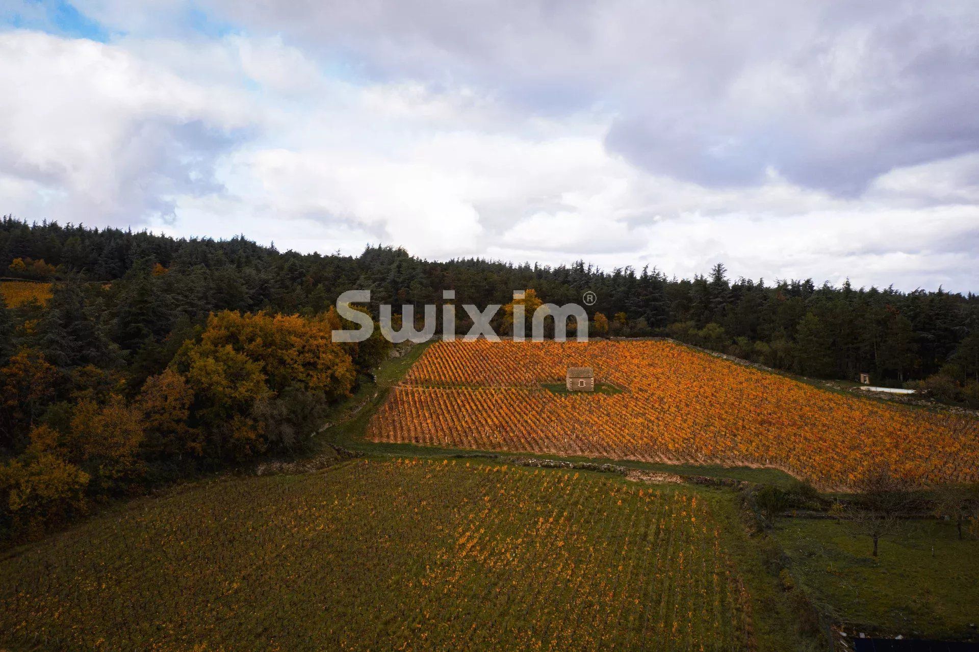 villa 8 Rooms for sale on Beaune (21200)