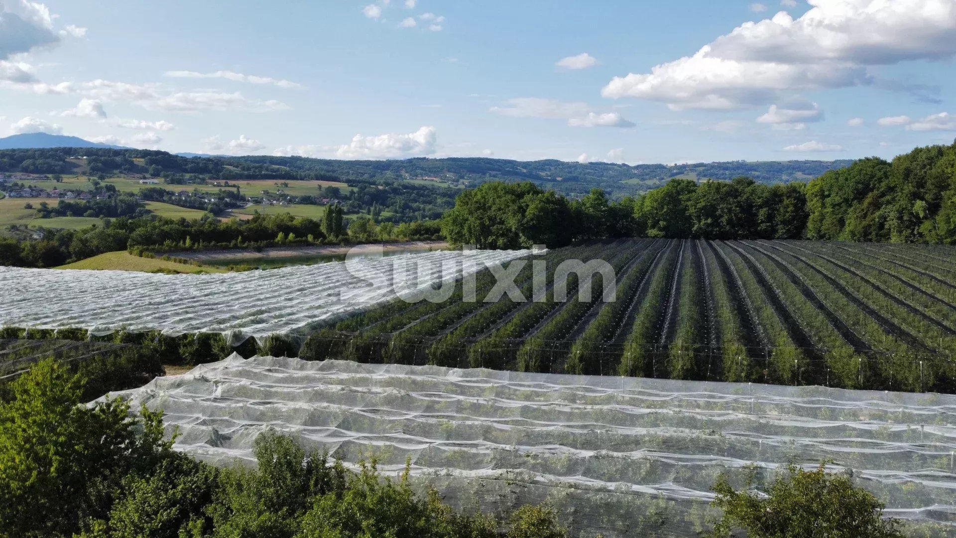 appartement 3 Pièces en vente sur Cercier (74350)