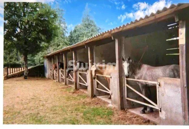 castello 14 Camere in vendita su La Salvetat-sur-Agout (34330)