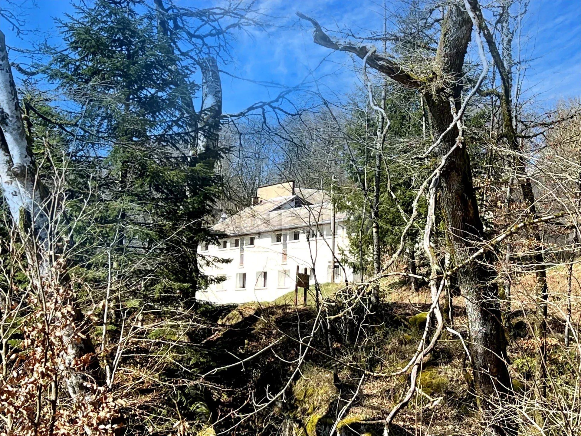 château 14 Pièces en vente sur La Salvetat-sur-Agout (34330)