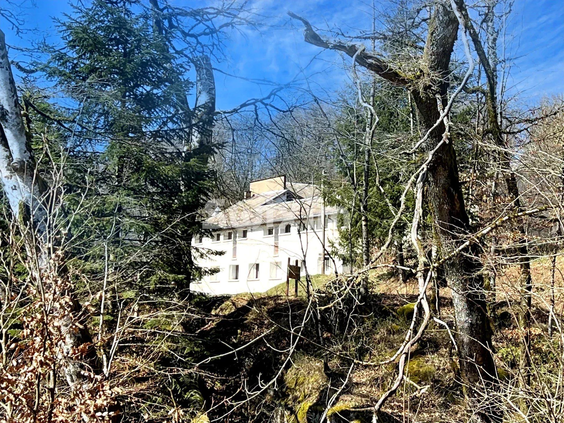 castello 14 Camere in vendita su La Salvetat-sur-Agout (34330)