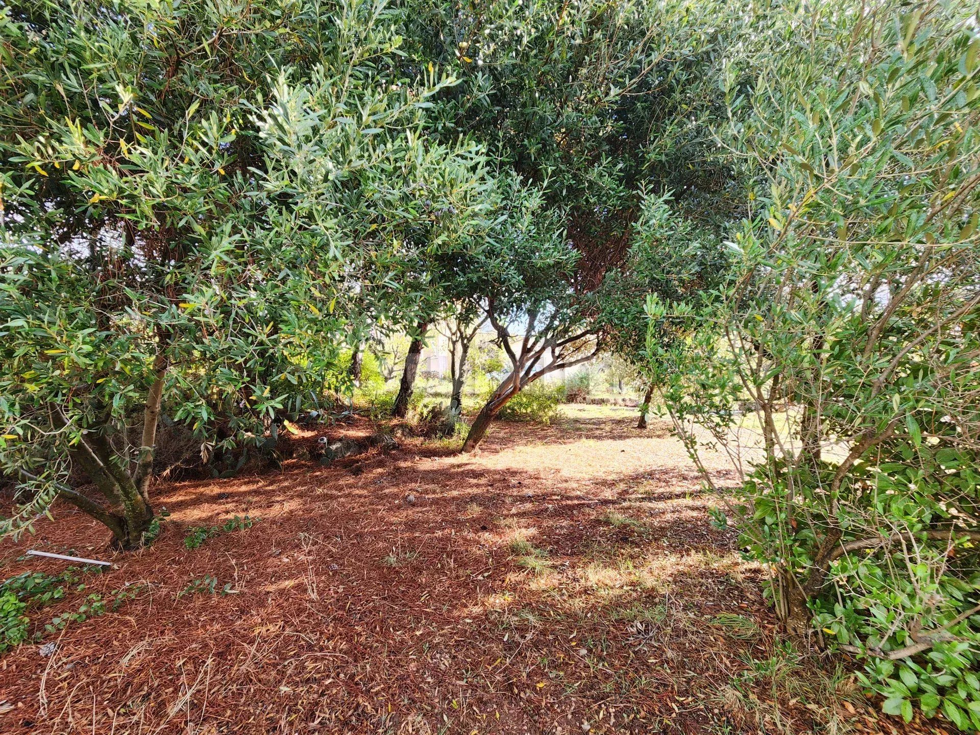 maison 5 Pièces en vente sur Les Arcs (83460)