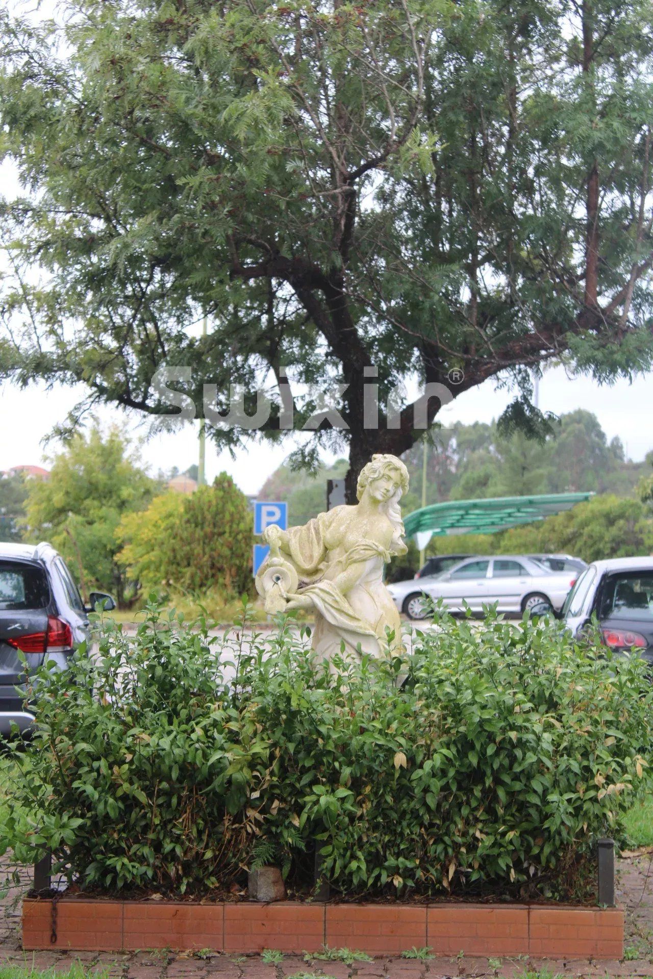 propriété en vente sur Sarnadas de Ródão (6030-1)