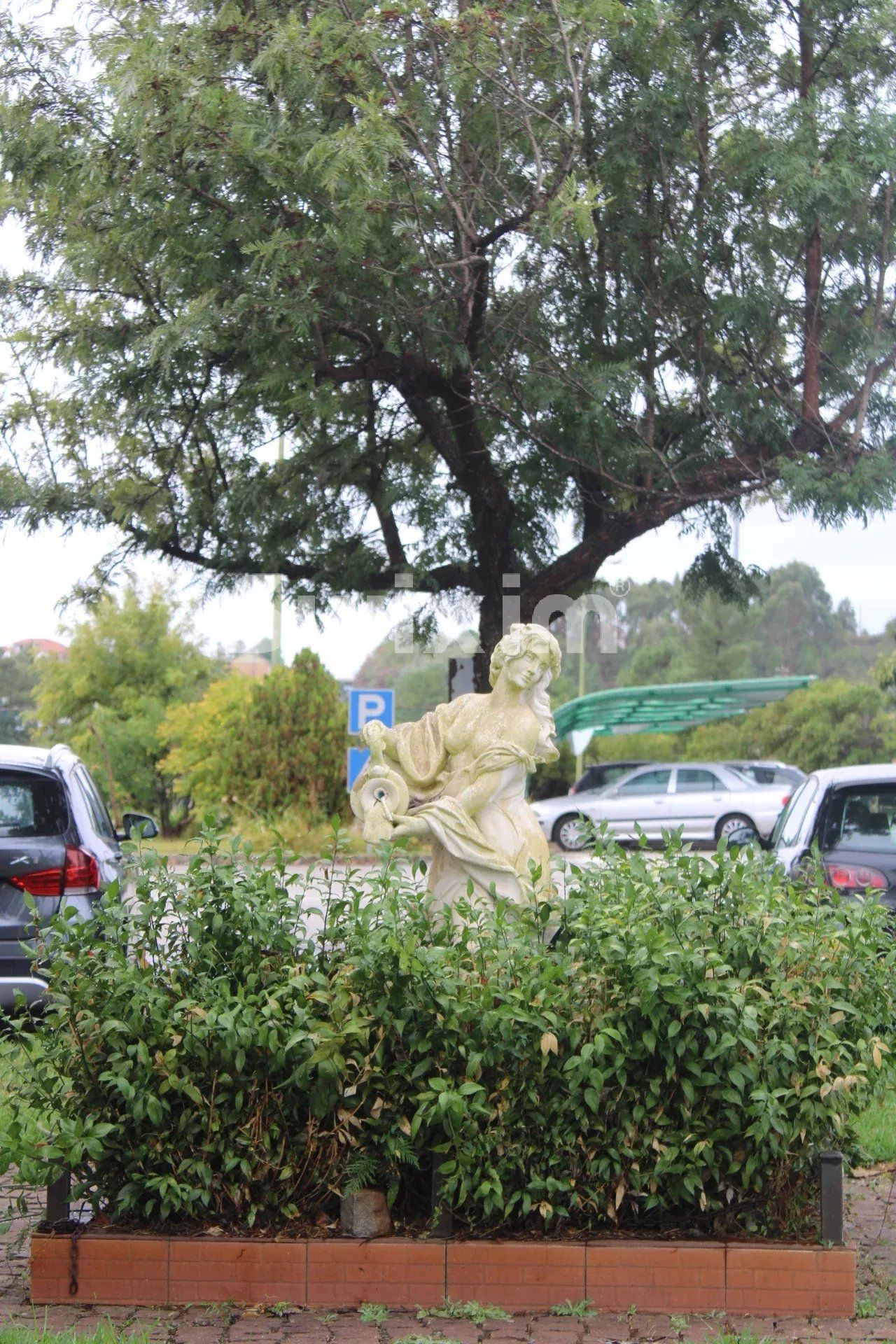 edificio en venta en Sarnadas de Ródão (6030-1)