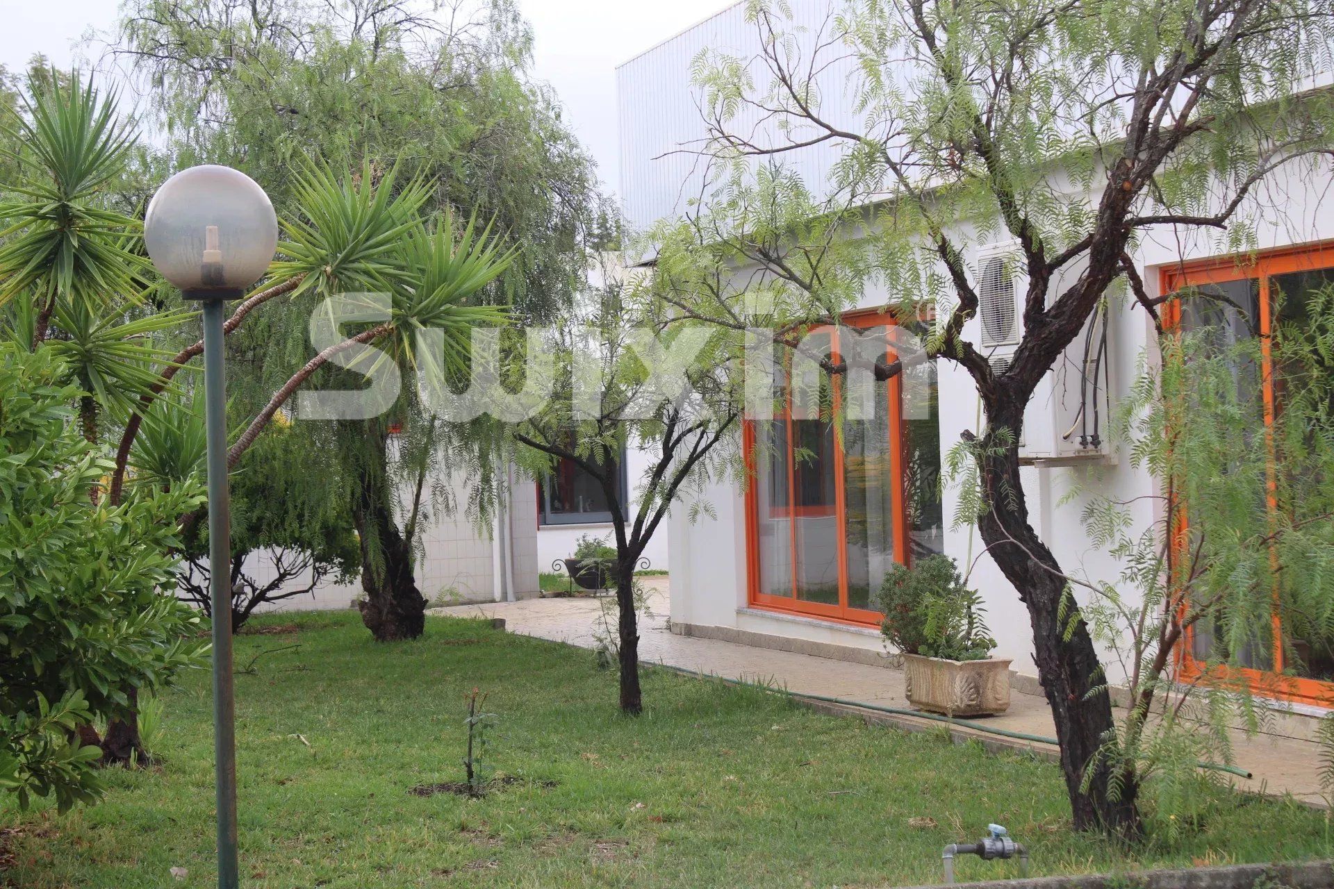 propriété en vente sur Sarnadas de Ródão (6030-1)