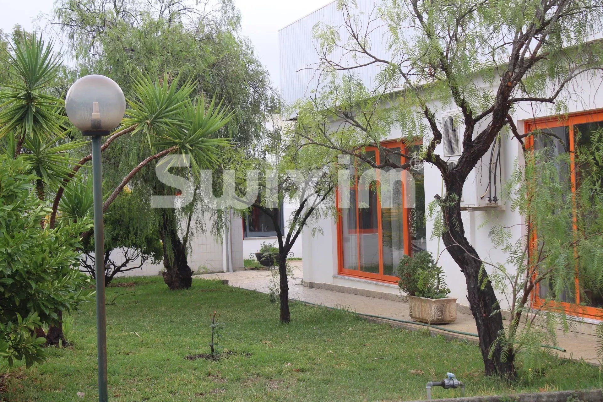 edificio en venta en Sarnadas de Ródão (6030-1)