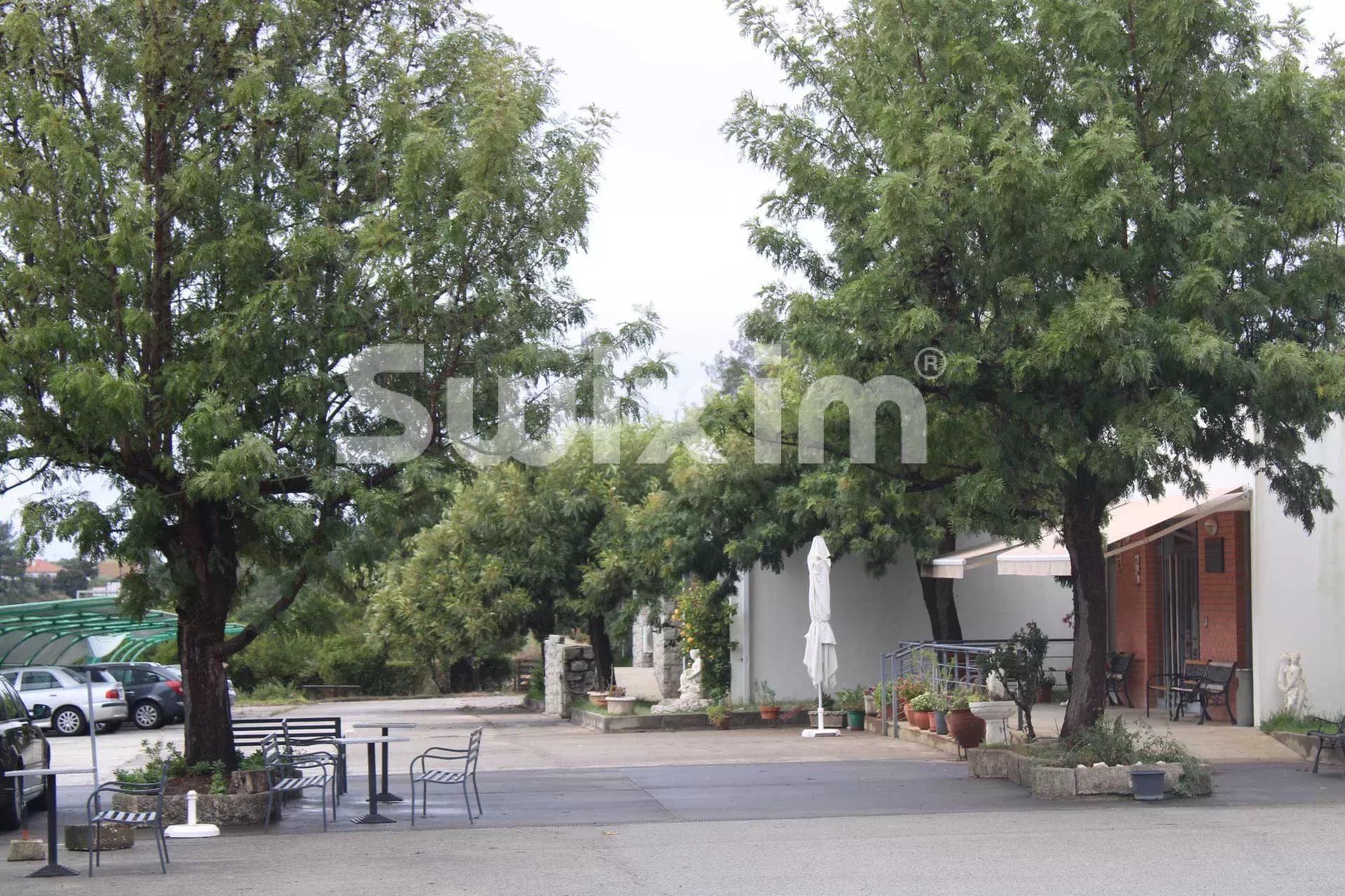 edificio en venta en Sarnadas de Ródão (6030-1)