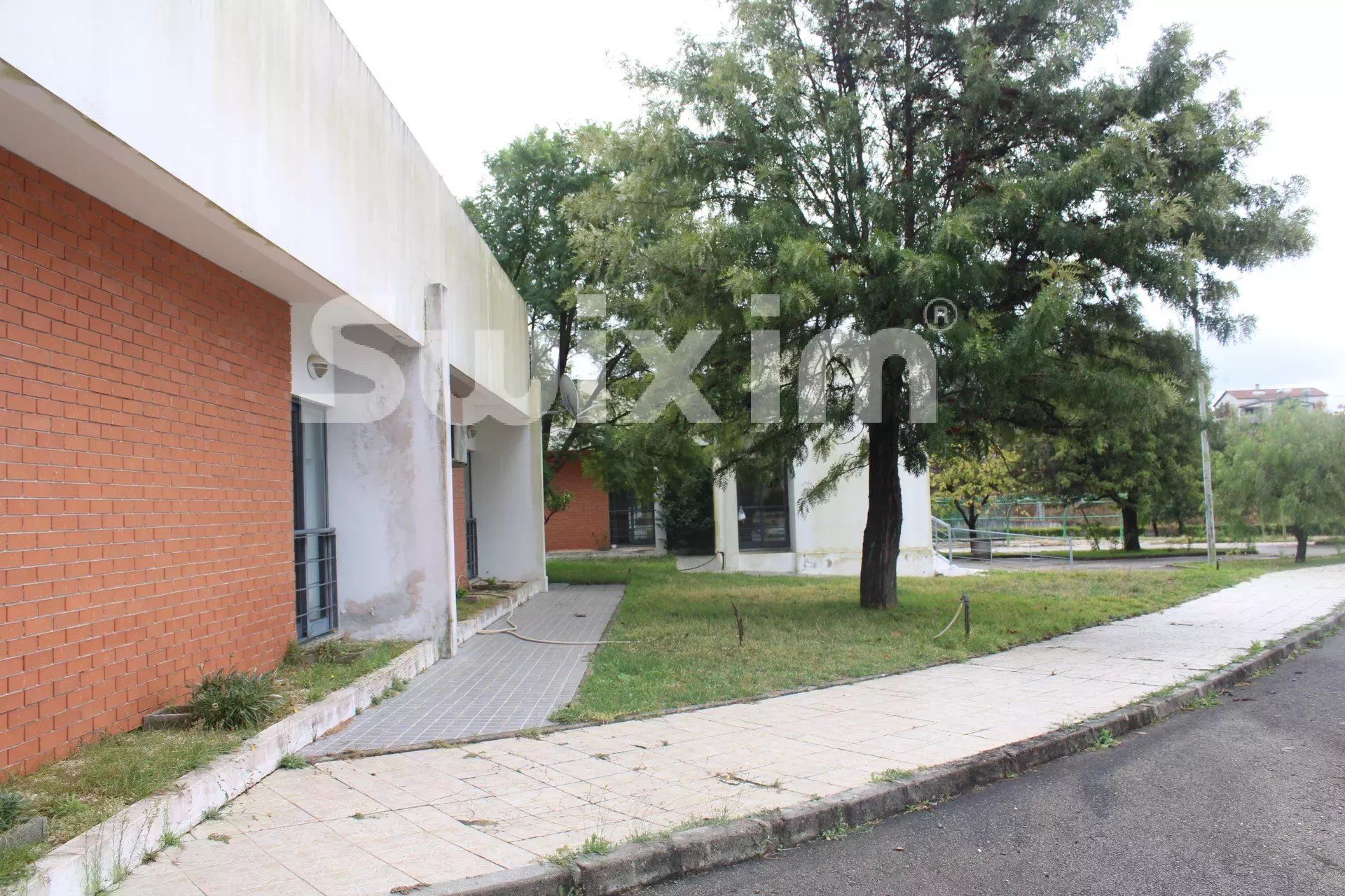 propriété en vente sur Sarnadas de Ródão (6030-1)