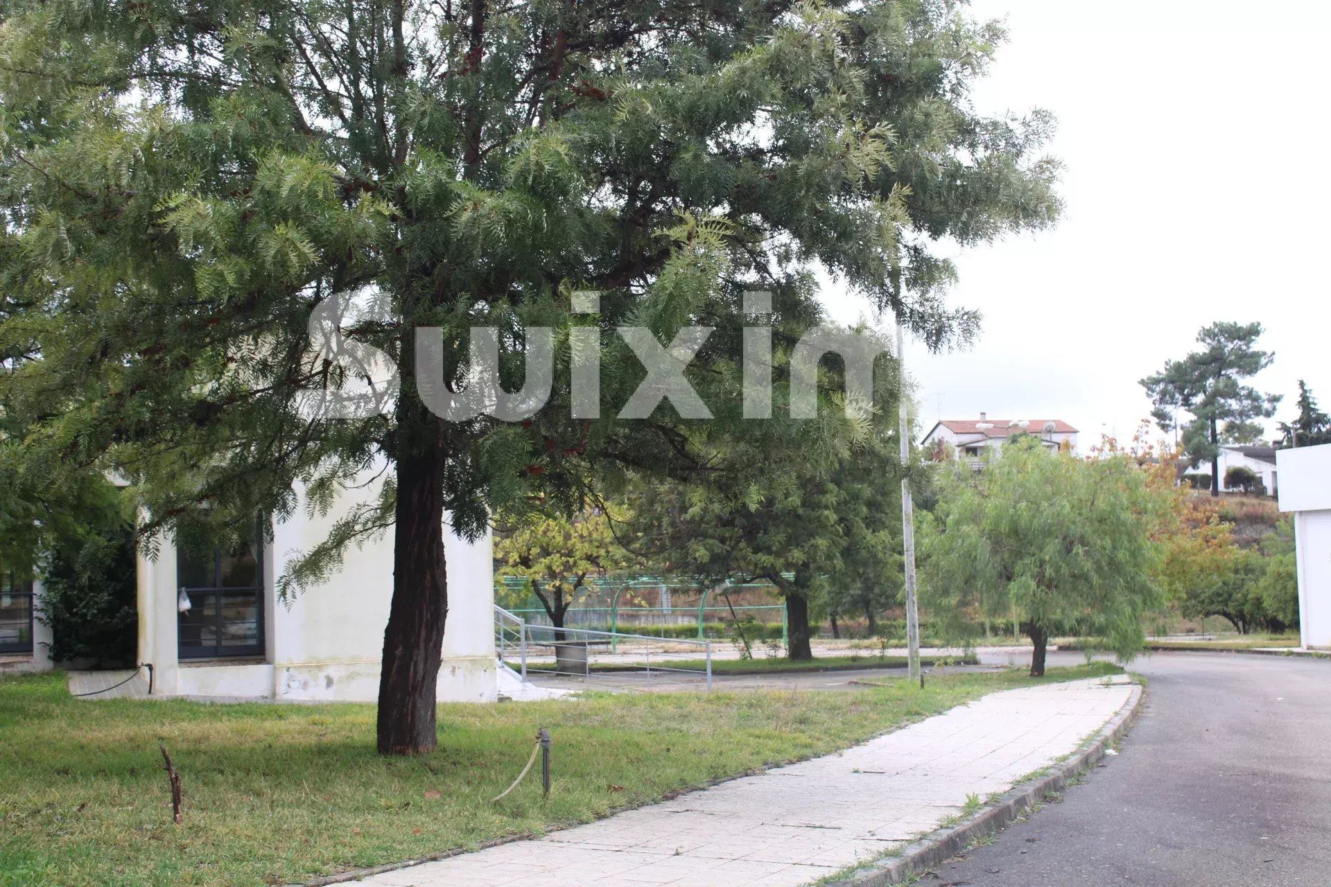 propriété en vente sur Sarnadas de Ródão (6030-1)