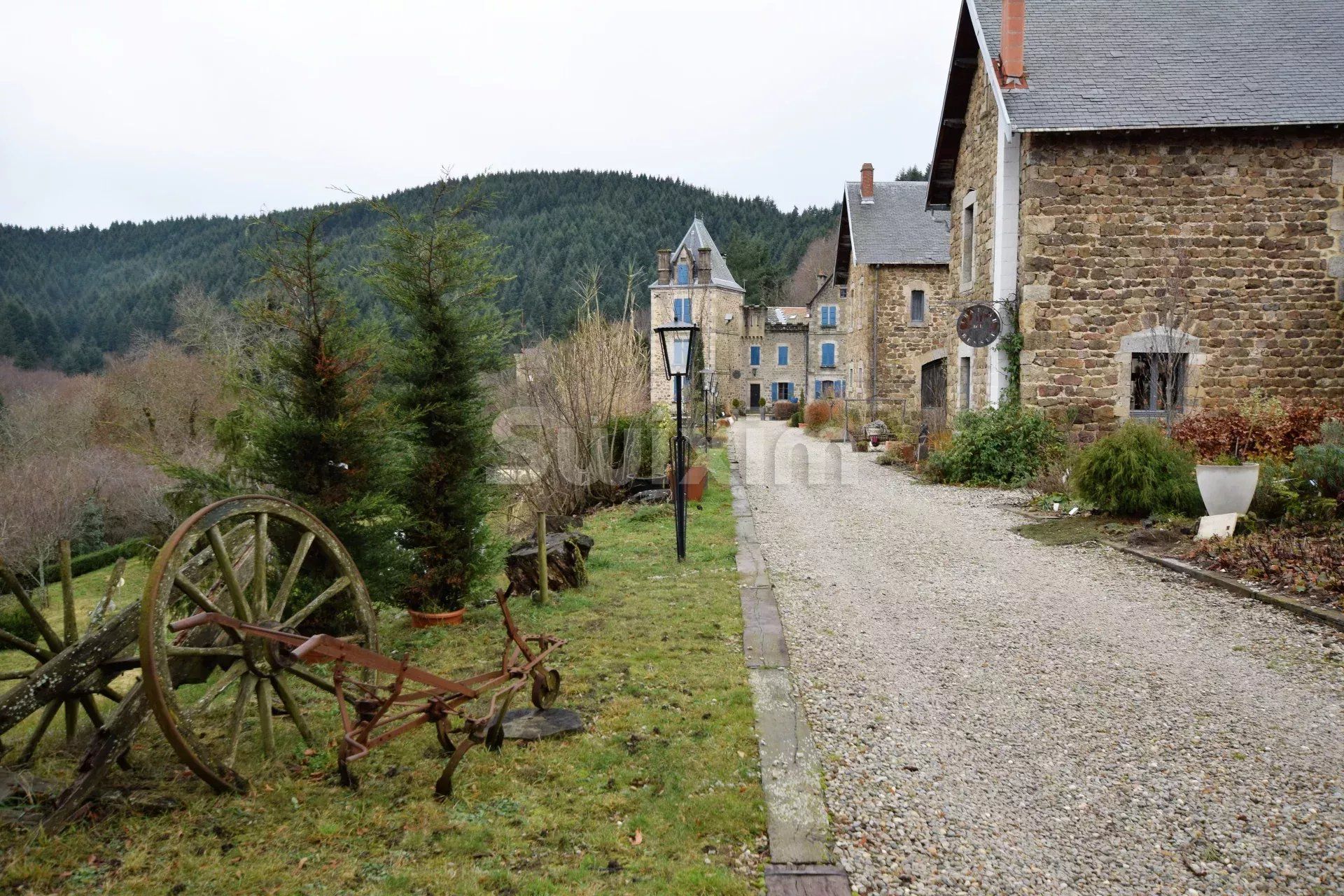 château 40 Pièces en vente sur Lamastre (07270)