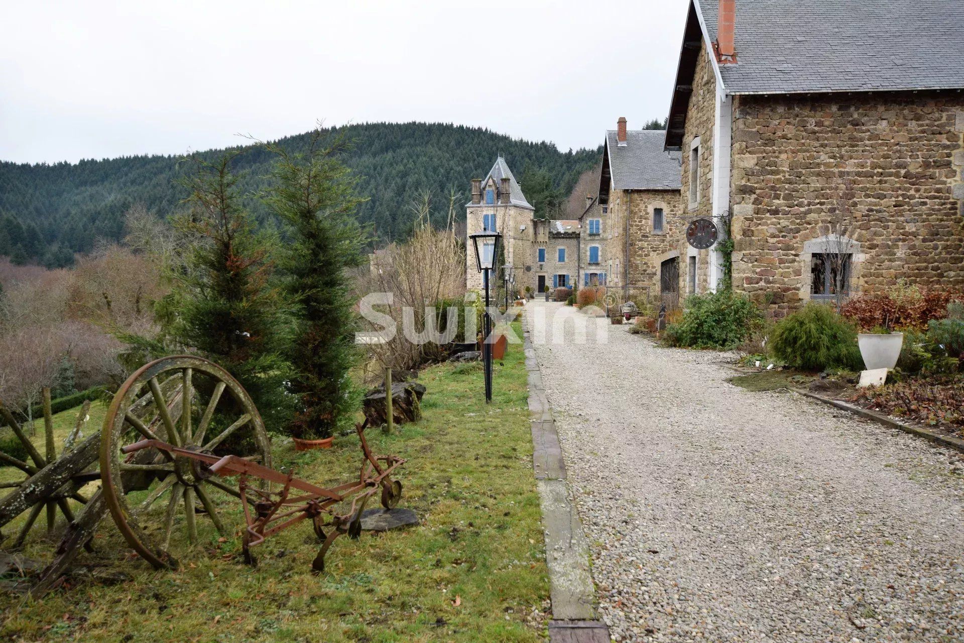 château 40 Pièces en vente sur Lamastre (07270)