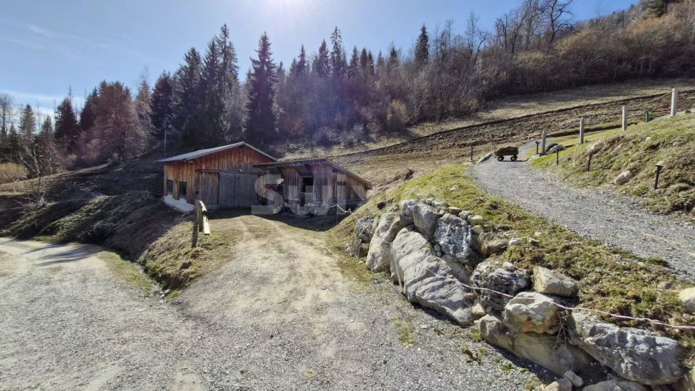 Vente Terrain Serraval 3 ha